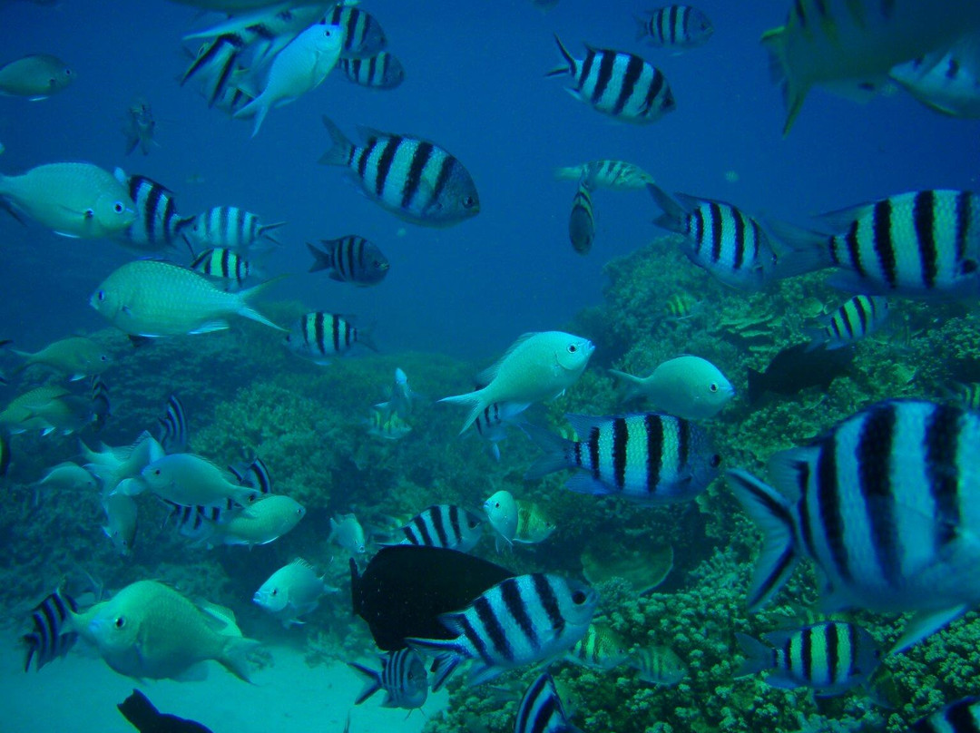 Seawalker Tours-Piti必去景点