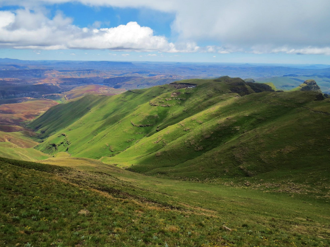 Dragons' Van - Day Tours-柏维必去景点
