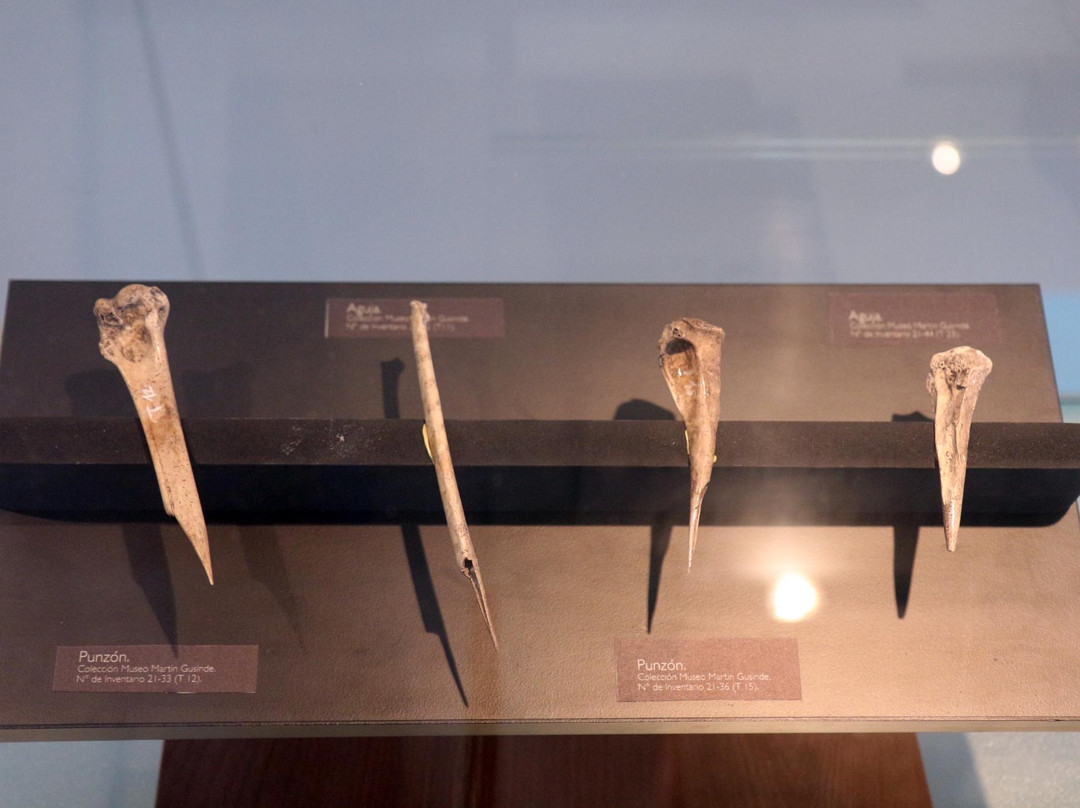 Museo Antropológico Martin Gusinde景点图片