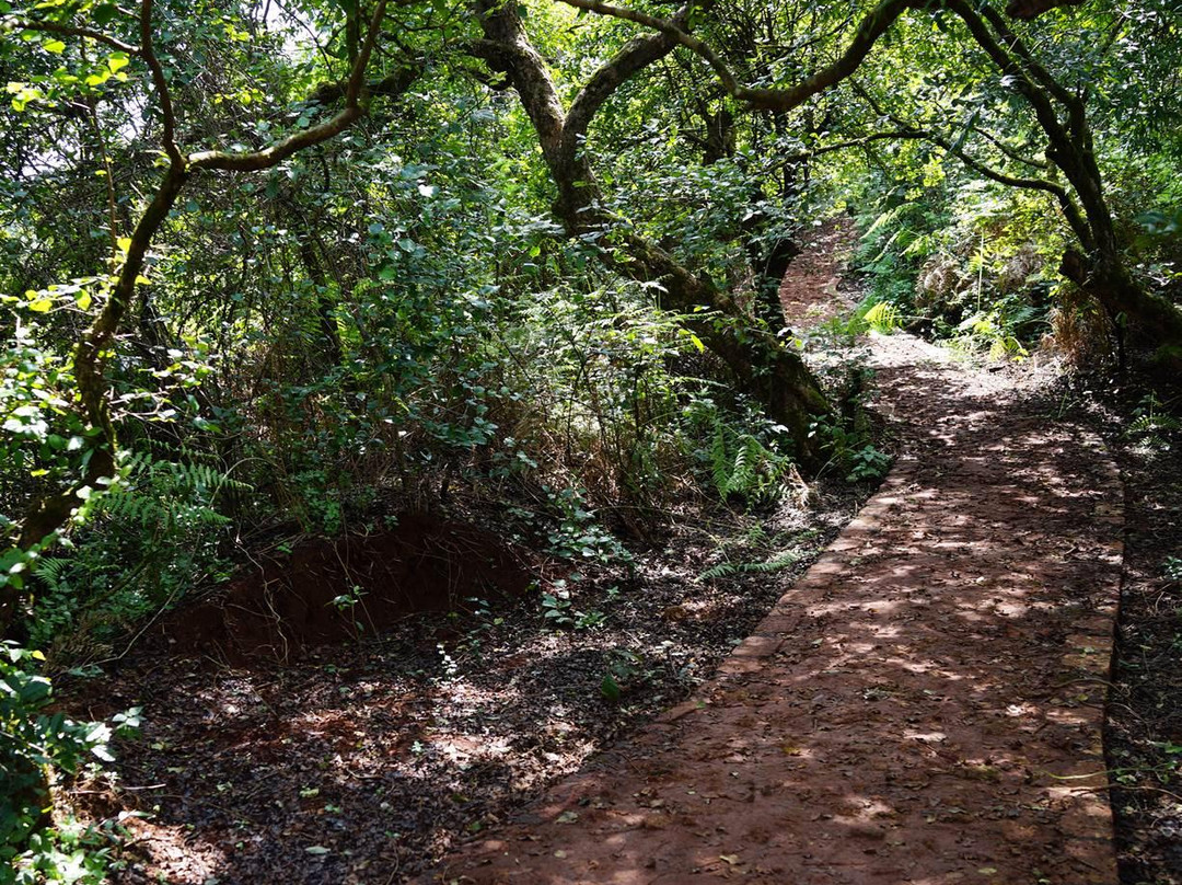 Gureghar Nature Trail景点图片