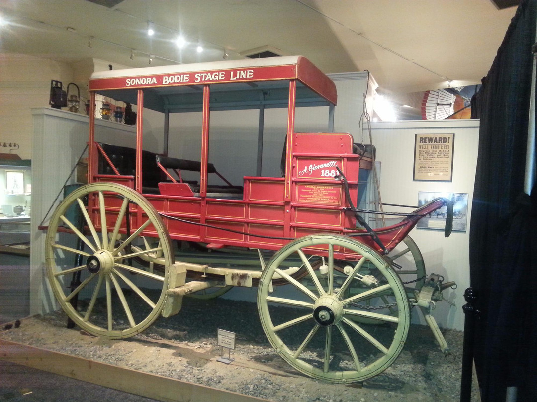 McHenry Museum景点图片
