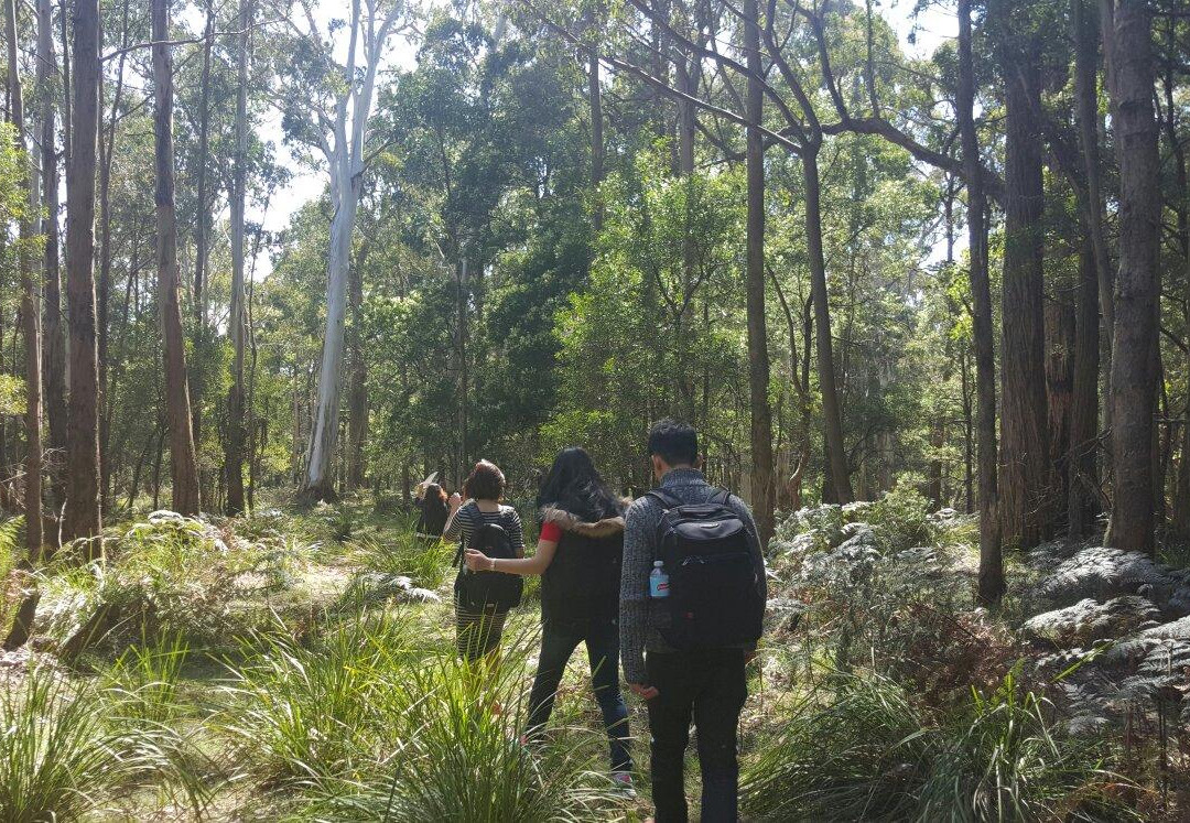 Secret Forest Walks-戴尔斯福特必去景点