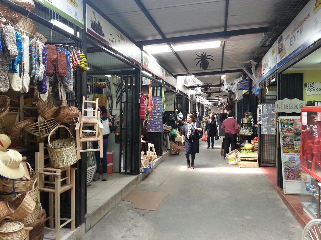Mercado Central Municipal de Talca-塔尔卡必去景点