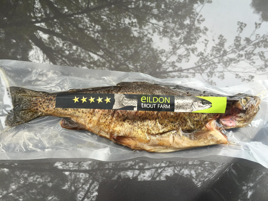 Eildon Trout Farm-Thornton必去景点