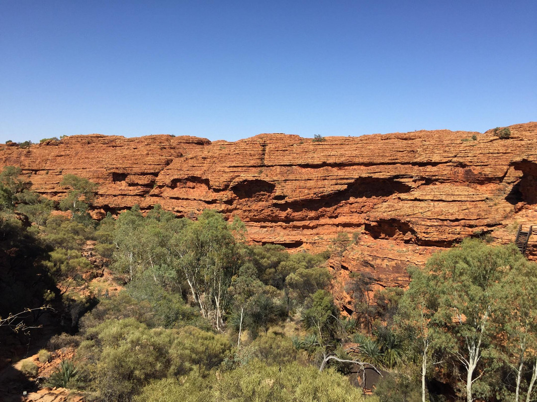 Kings Canyon Tour - ATT kings-邦迪必去景点