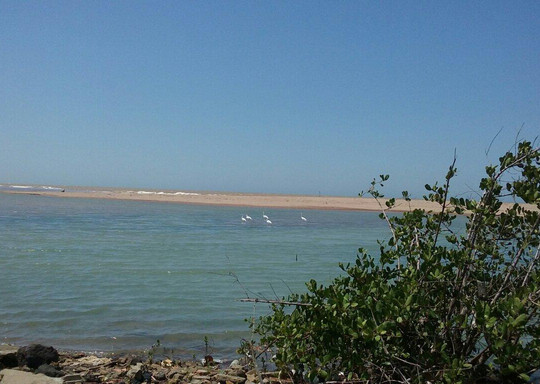 Guaxindiba Beach-Sao Francisco De Itabapoana必去景点