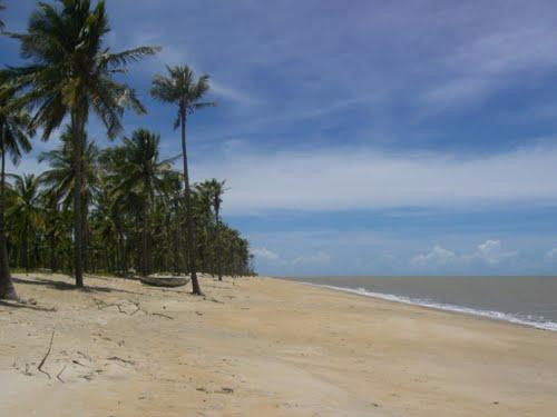 Ponta do Catueiro Beach景点图片