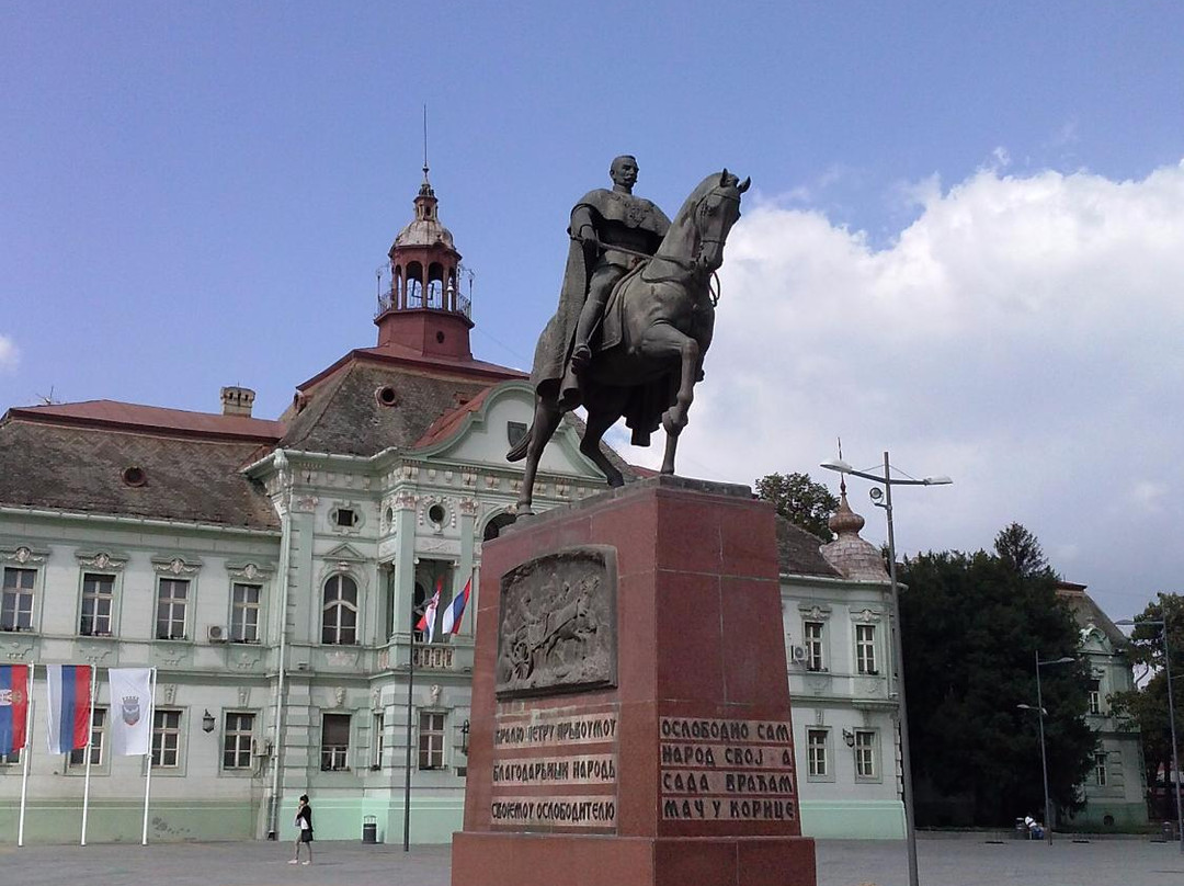 Peter I of Yugoslavia Monument景点图片