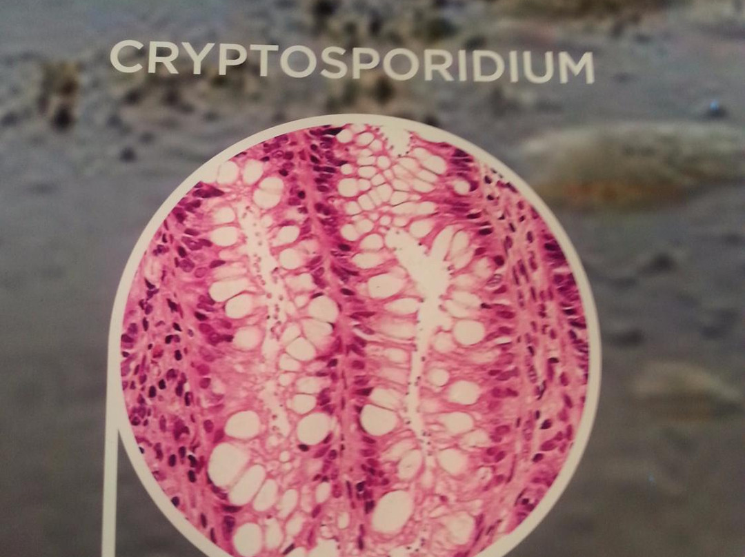 Morehead Planetarium and Science Center-教堂山必去景点