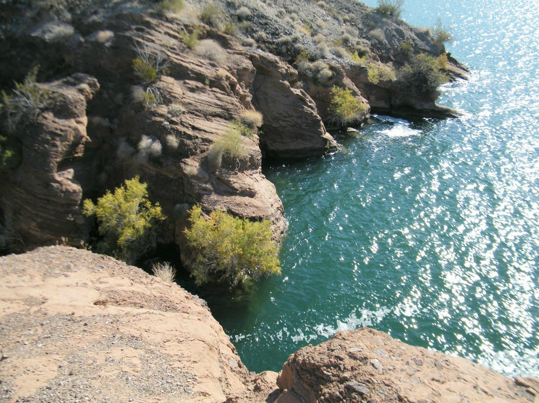 Cattail Cove State Park-哈瓦苏湖城必去景点