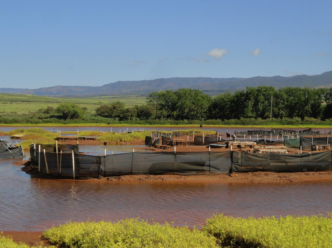 Hanapepe Salt Ponds-哈纳佩佩必去景点
