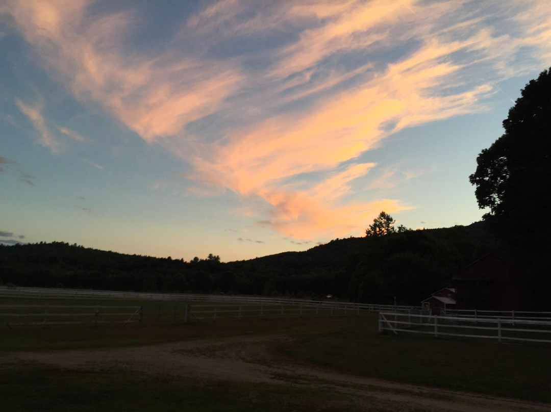 Brookline旅游攻略图片