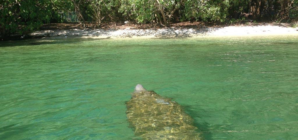 Florida Paddle Board Lessons-庞帕诺比奇必去景点