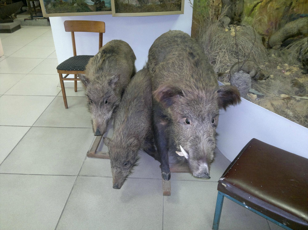 Ridder Museum of History and Local Lore-Ridder必去景点