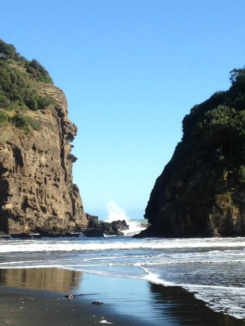 Auckland Photography Tours-奥克兰中心地区必去景点