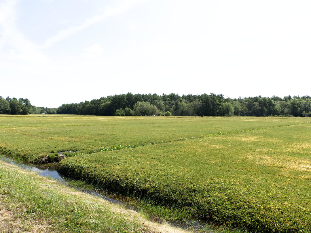 Flax Pond Farms-Carver必去景点