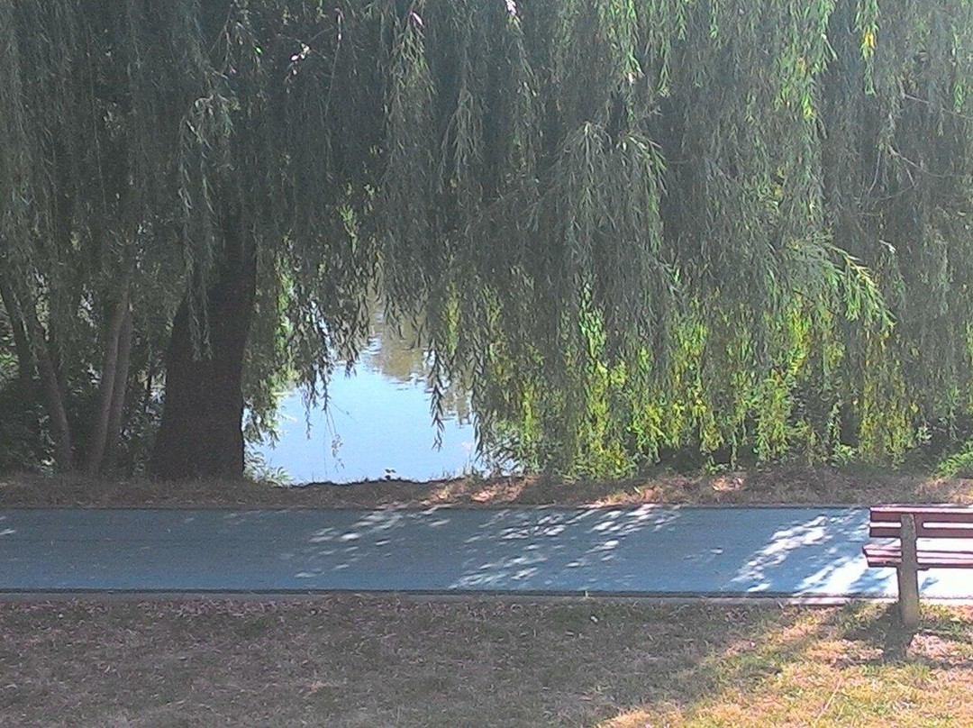 Parcul Copiilor景点图片