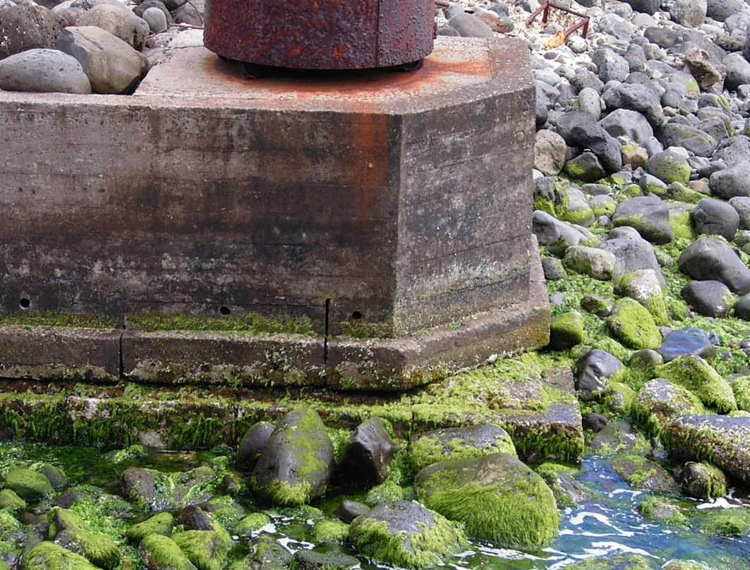 Balas al Dresden-Isla Robinson Crusoe必去景点