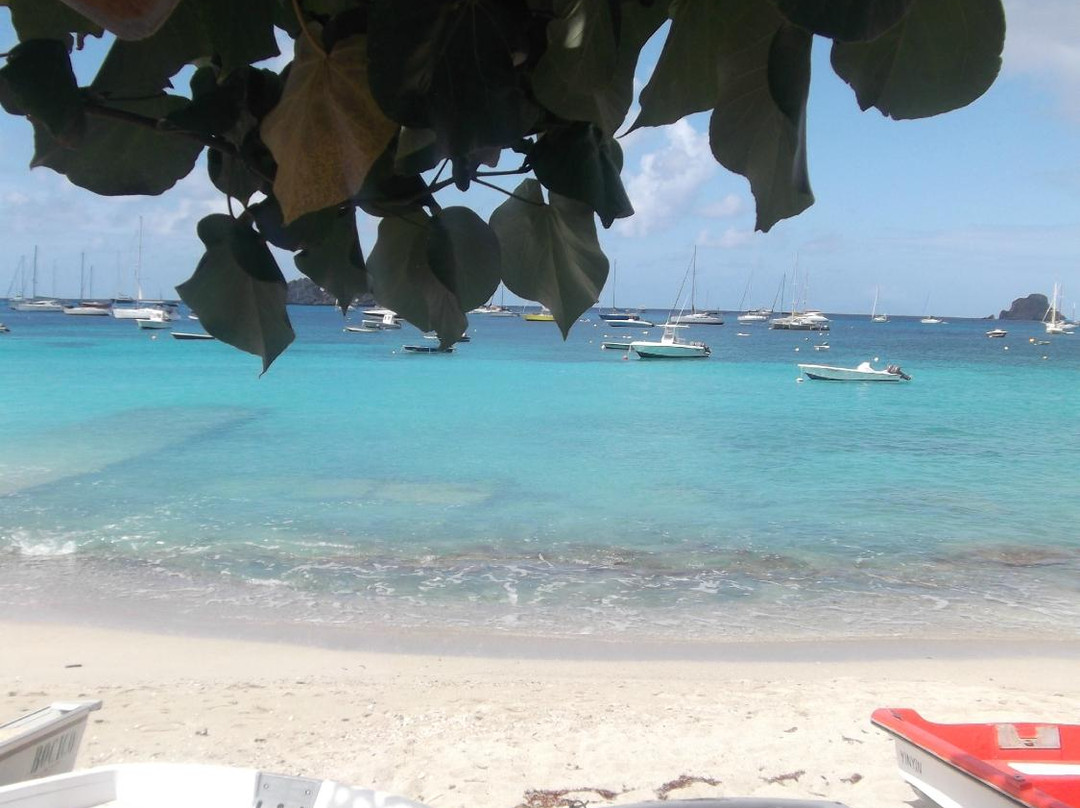 Corossol-圣巴托洛缪岛必去景点