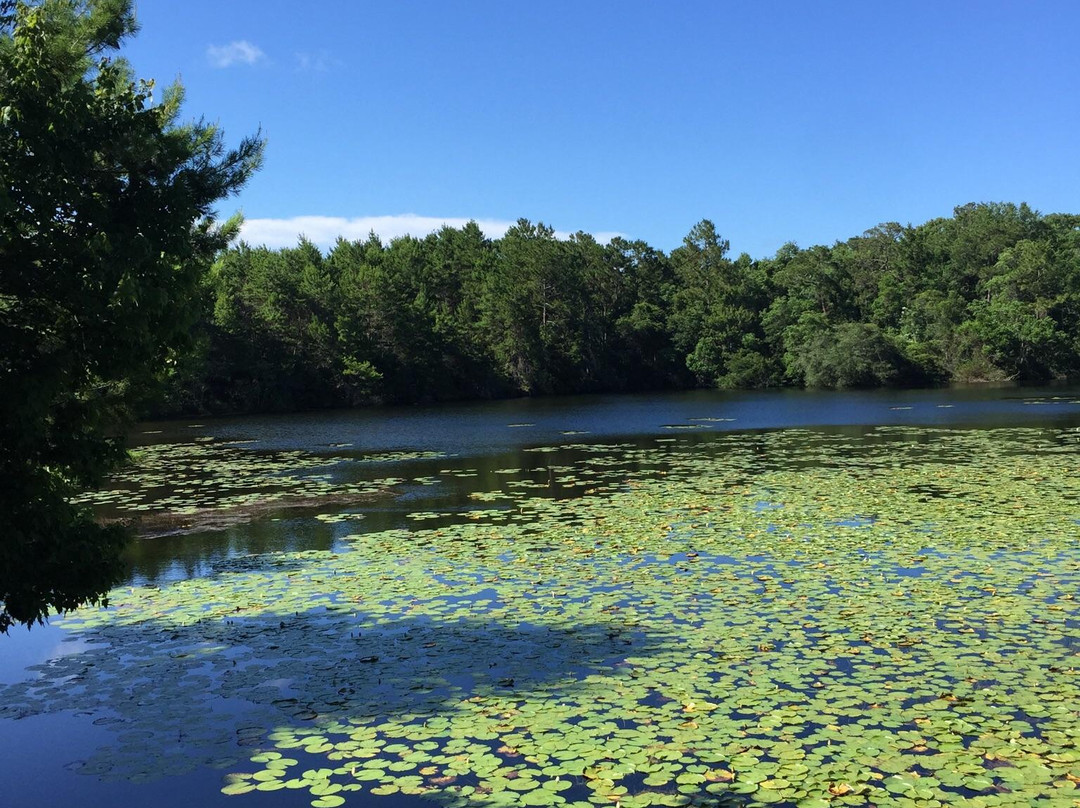 Graham Swamp Preserve-棕榈海岸必去景点