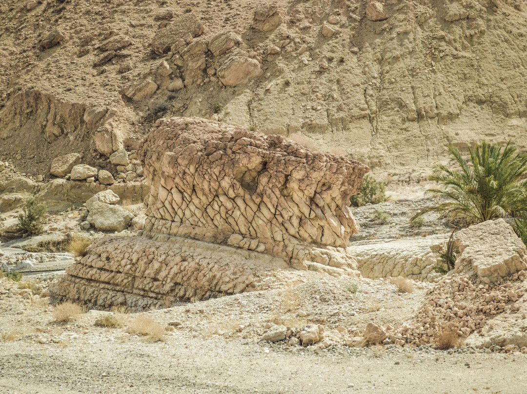 Red Lizard Train-Metlaoui必去景点