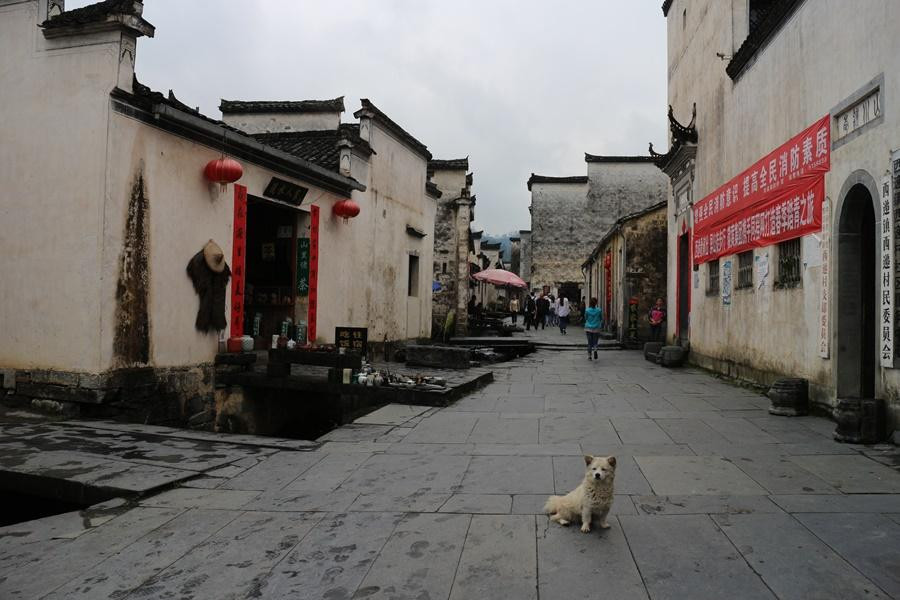 西递古民居-歙县必去景点