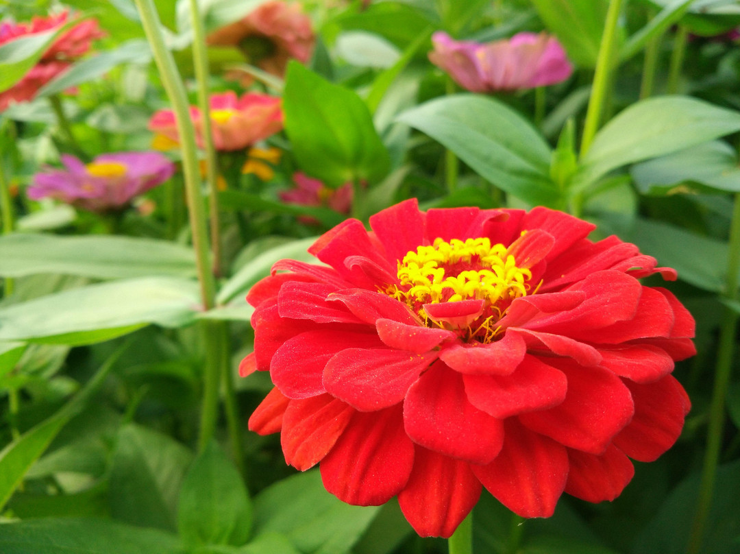 杭州东方文化园-杭州市必去景点