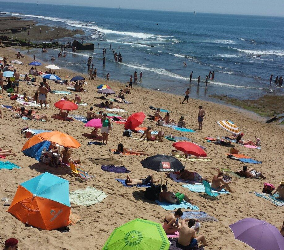 Praia das Avencas景点图片