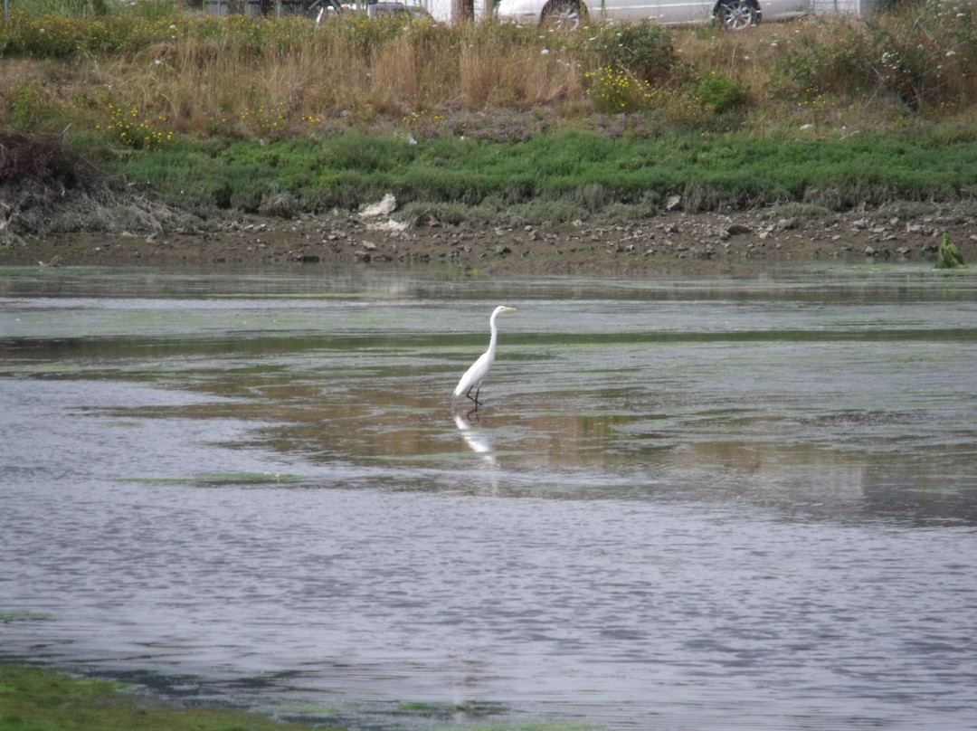 Waldport Kayak Shack Rentals-Waldport必去景点