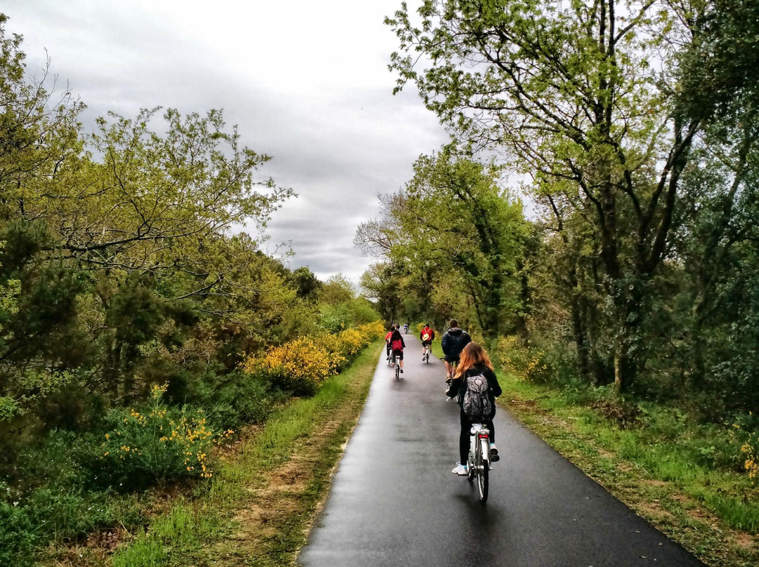 Cyclescapade-Labenne必去景点