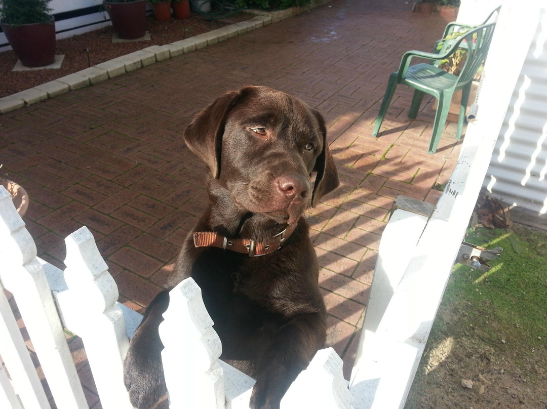 Jassi-丹麦必去景点