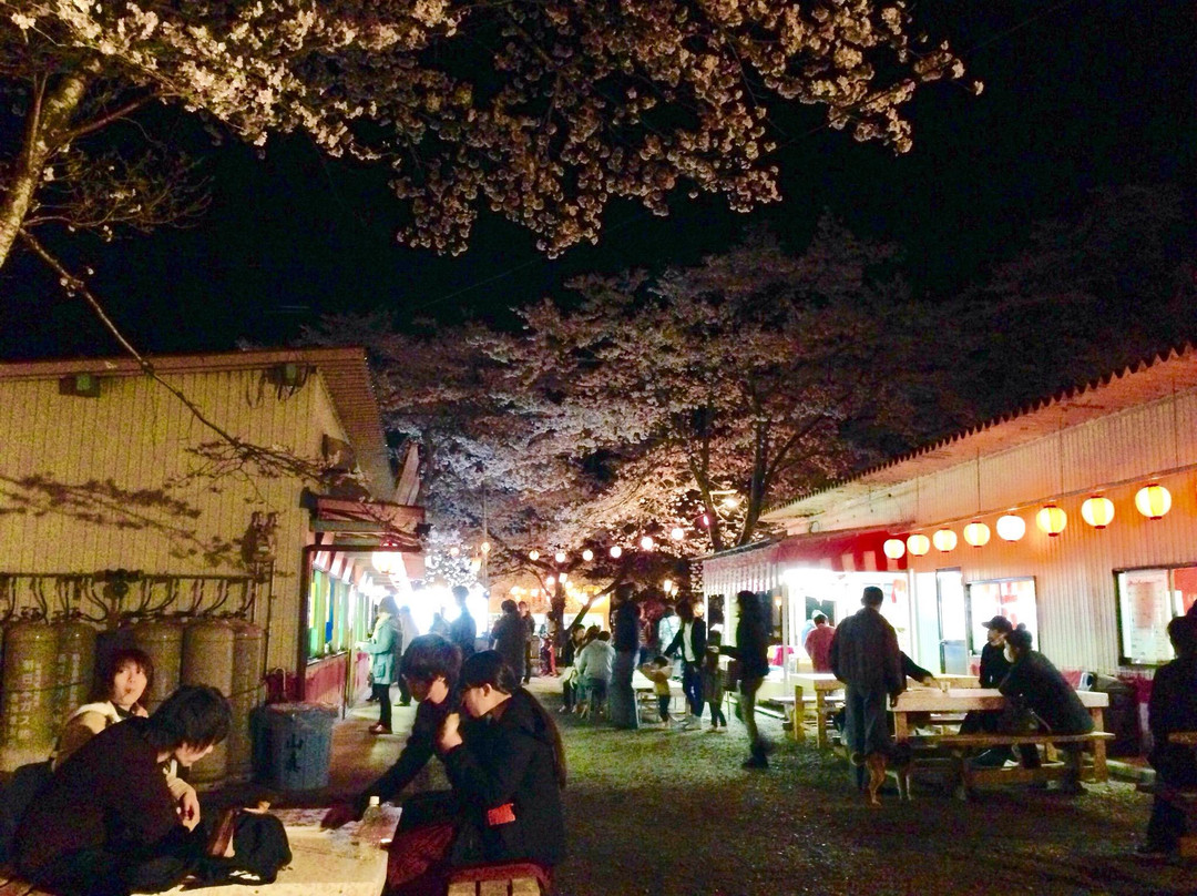 Teraogaharasenbon Sakura Park-关市必去景点