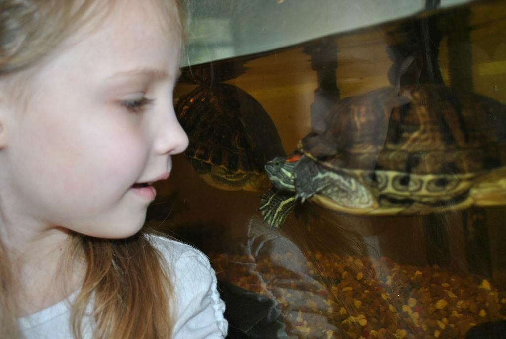 Bethany Beach Nature Center-Bethany Beach必去景点