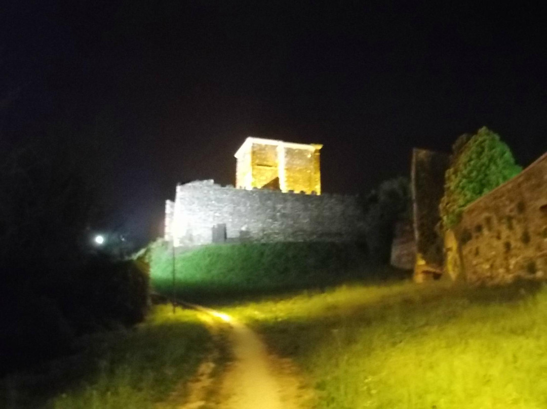 Castello di Arzignano景点图片