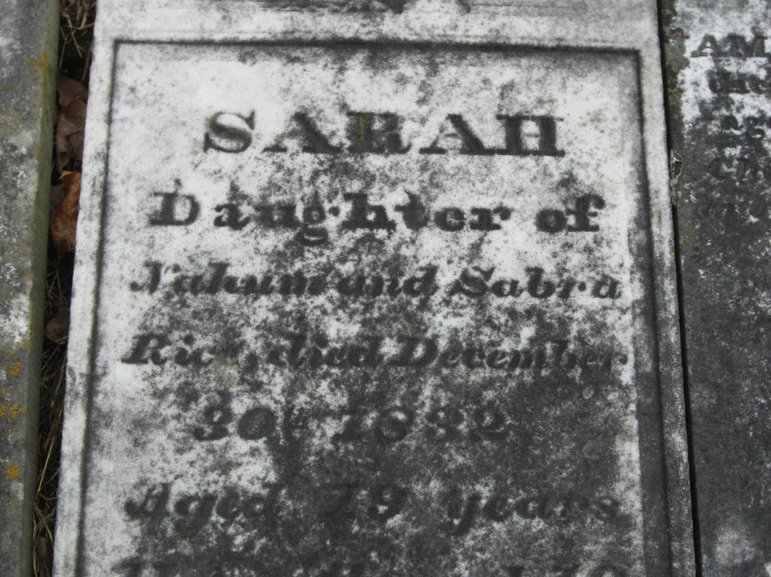 Chester A. Arthur Memorial Tomb-奥尔巴尼必去景点