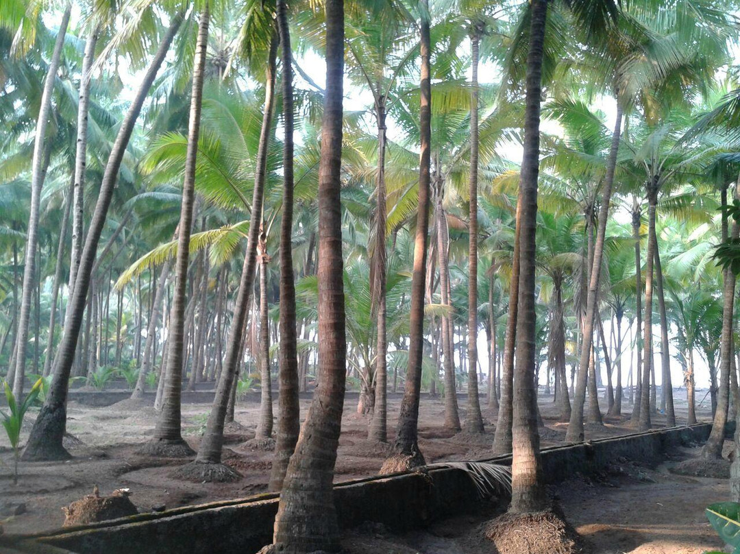 RamKamal Homestays主图