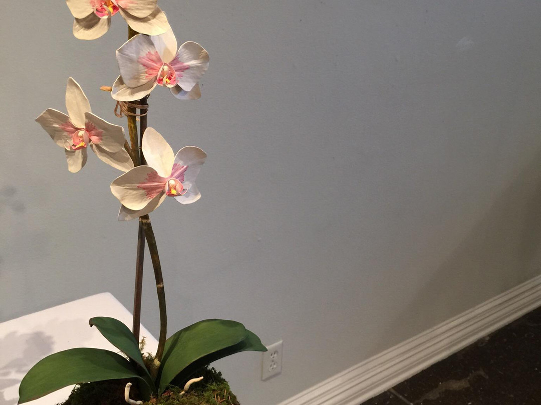 Yeiser Art Center-帕迪尤卡必去景点