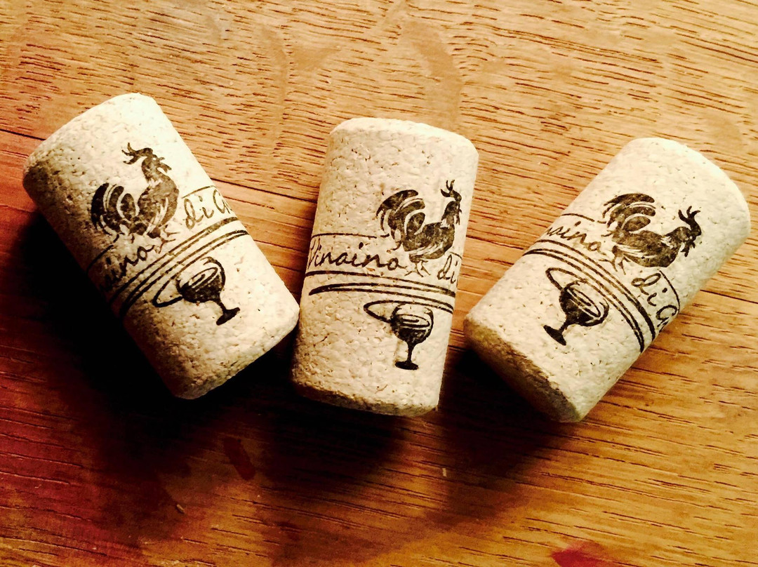 Il Vinaino di Greve-格雷韦伊恩基亚恩蒂必去景点