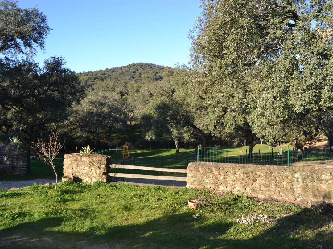 Finca Montefrio主图