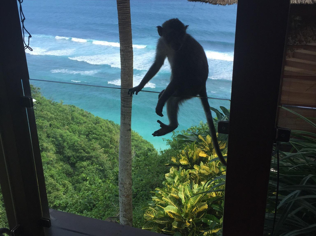 金巴兰卡玛水疗中心-金巴兰必去景点