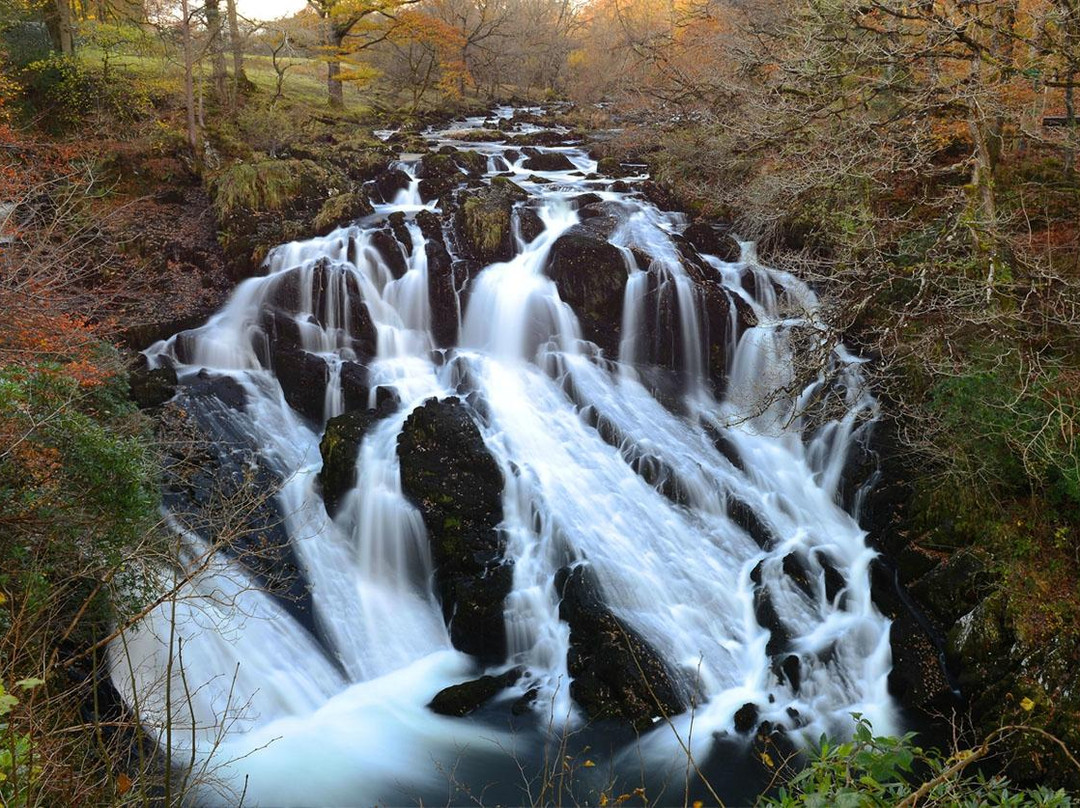 Go North Wales Tours - Day Tours景点图片