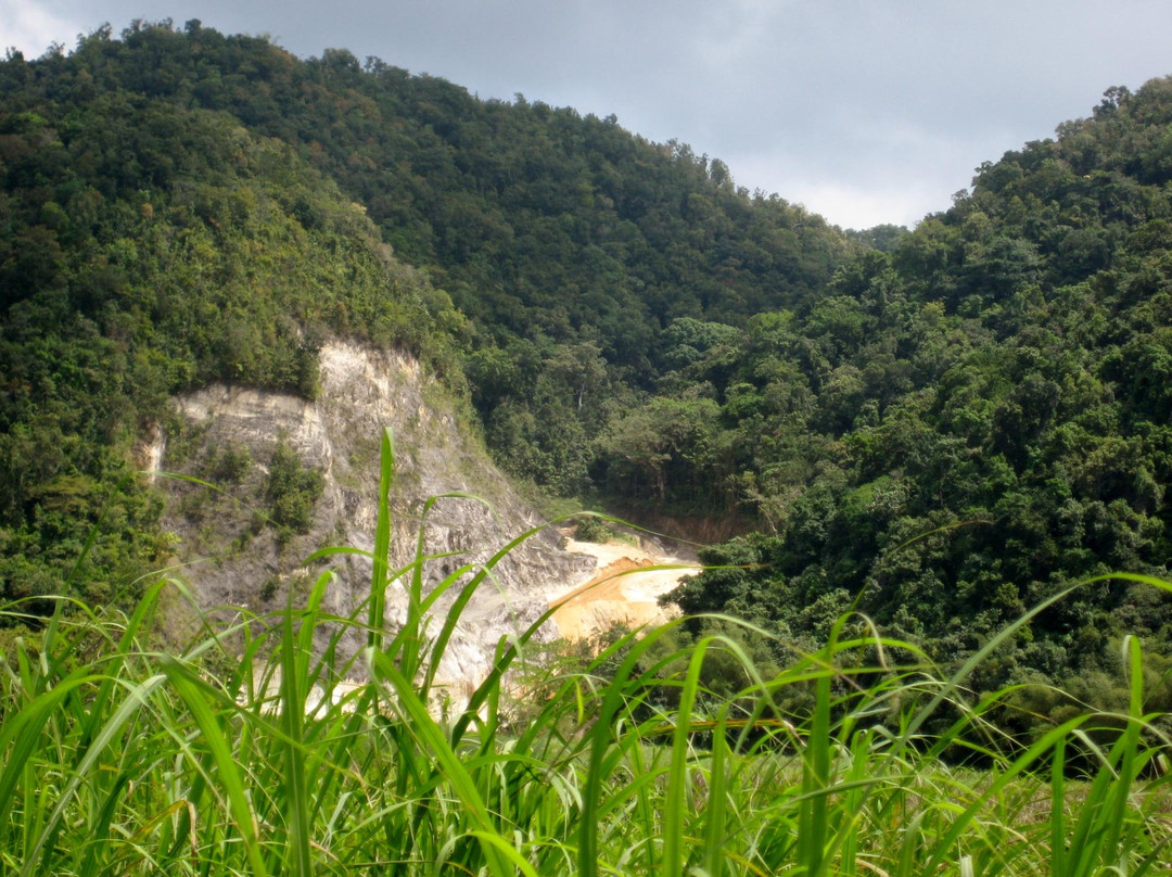 Blue Mountain Experience-内格里尔必去景点