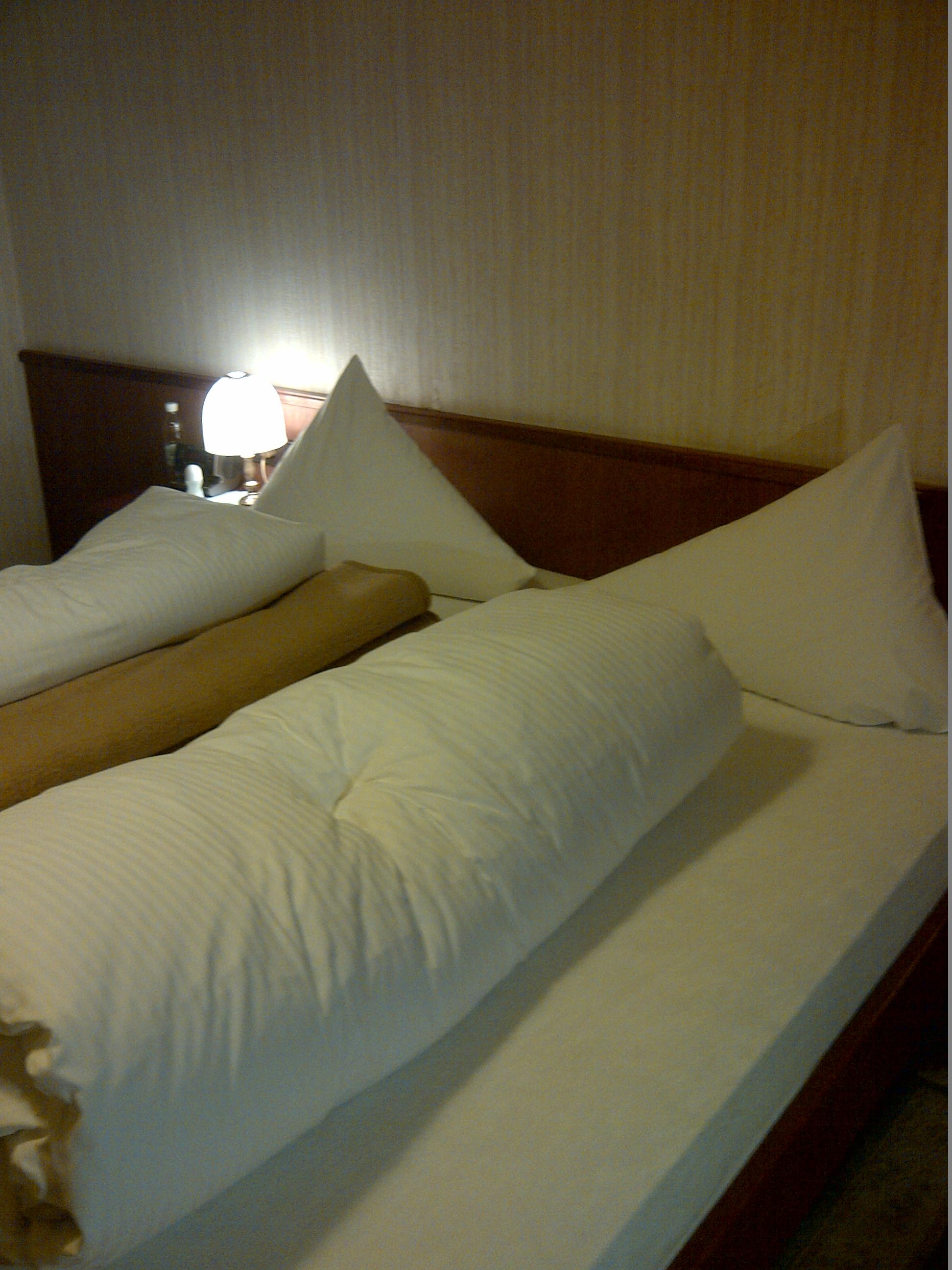 Hôtel Pension Austria-客卧