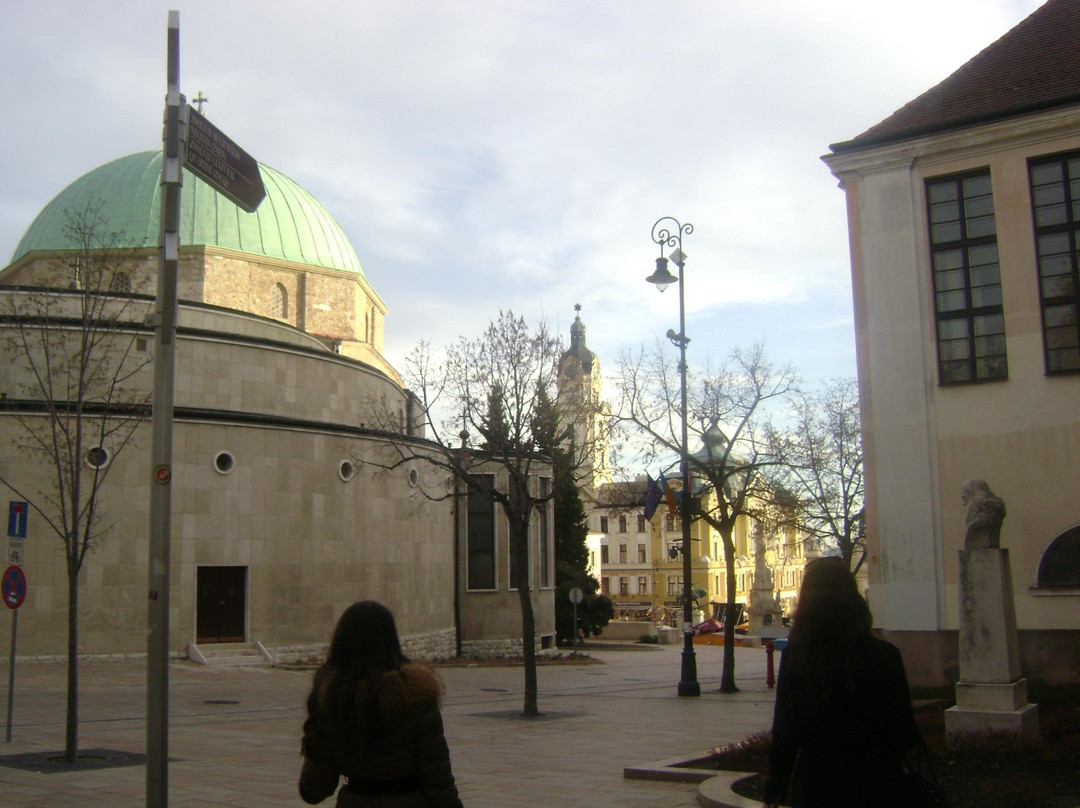 Jakovali Hassan Mosque and Museum-佩奇必去景点