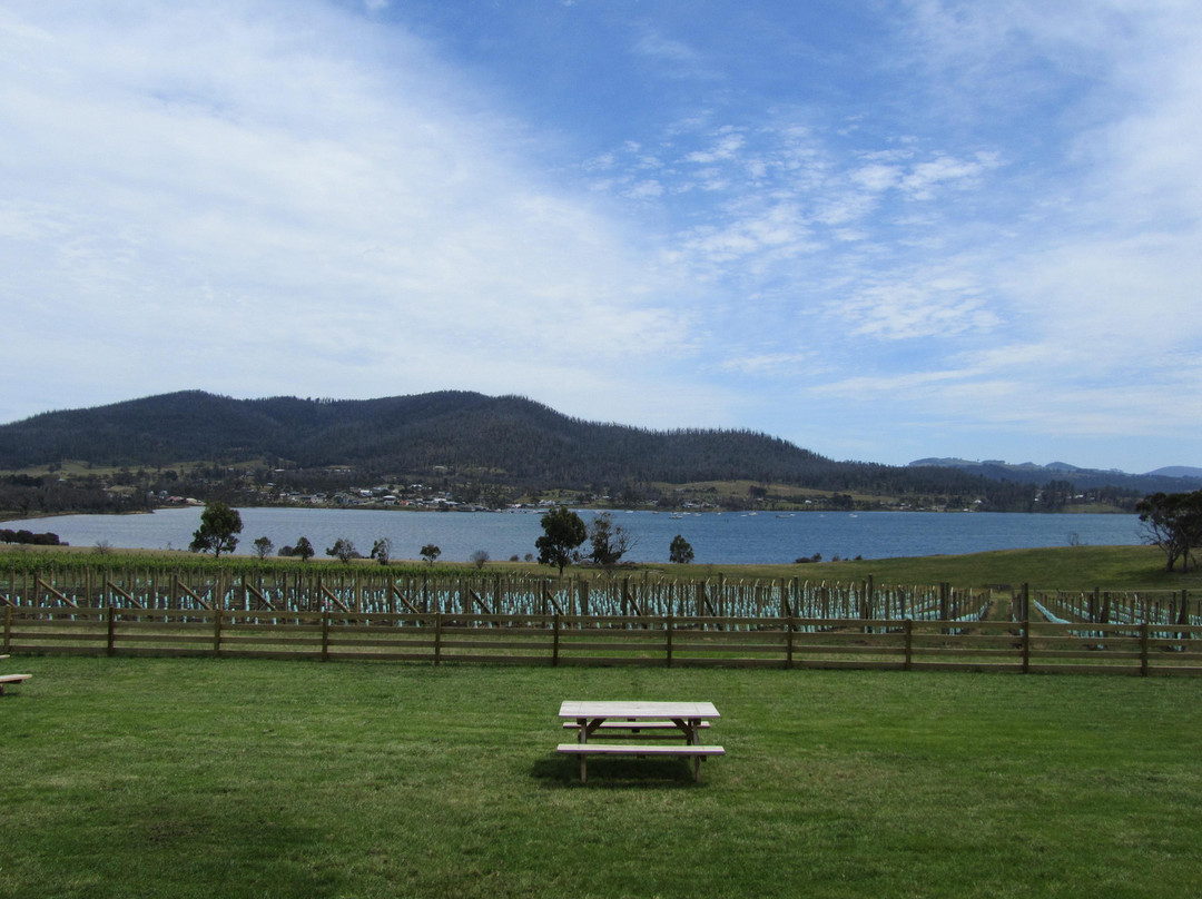 Bangor Vineyard Shed景点图片