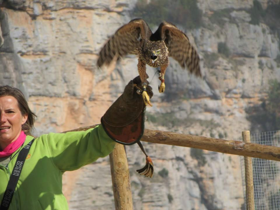 Zoo Del Pirineu景点图片