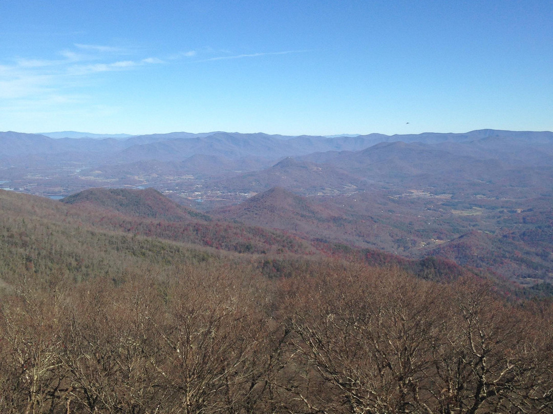 Brasstown Bald Mountain景点图片
