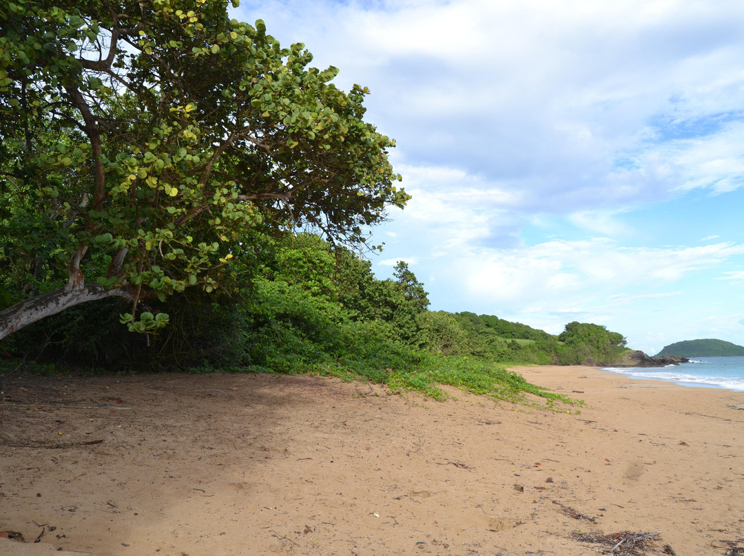 Plage Cluny-Sainte Rose必去景点
