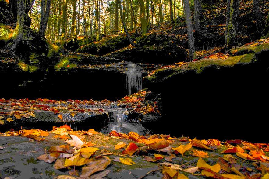 Washburn旅游攻略图片