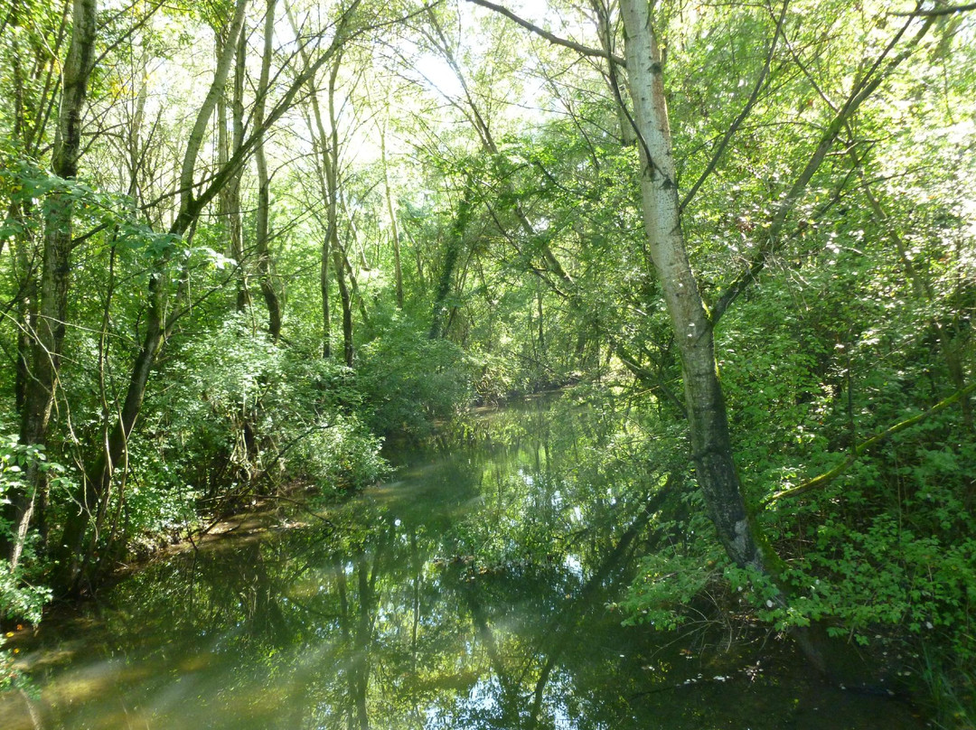Réserve Naturelle de l'Ile du Rohrschollen-斯特拉斯堡必去景点